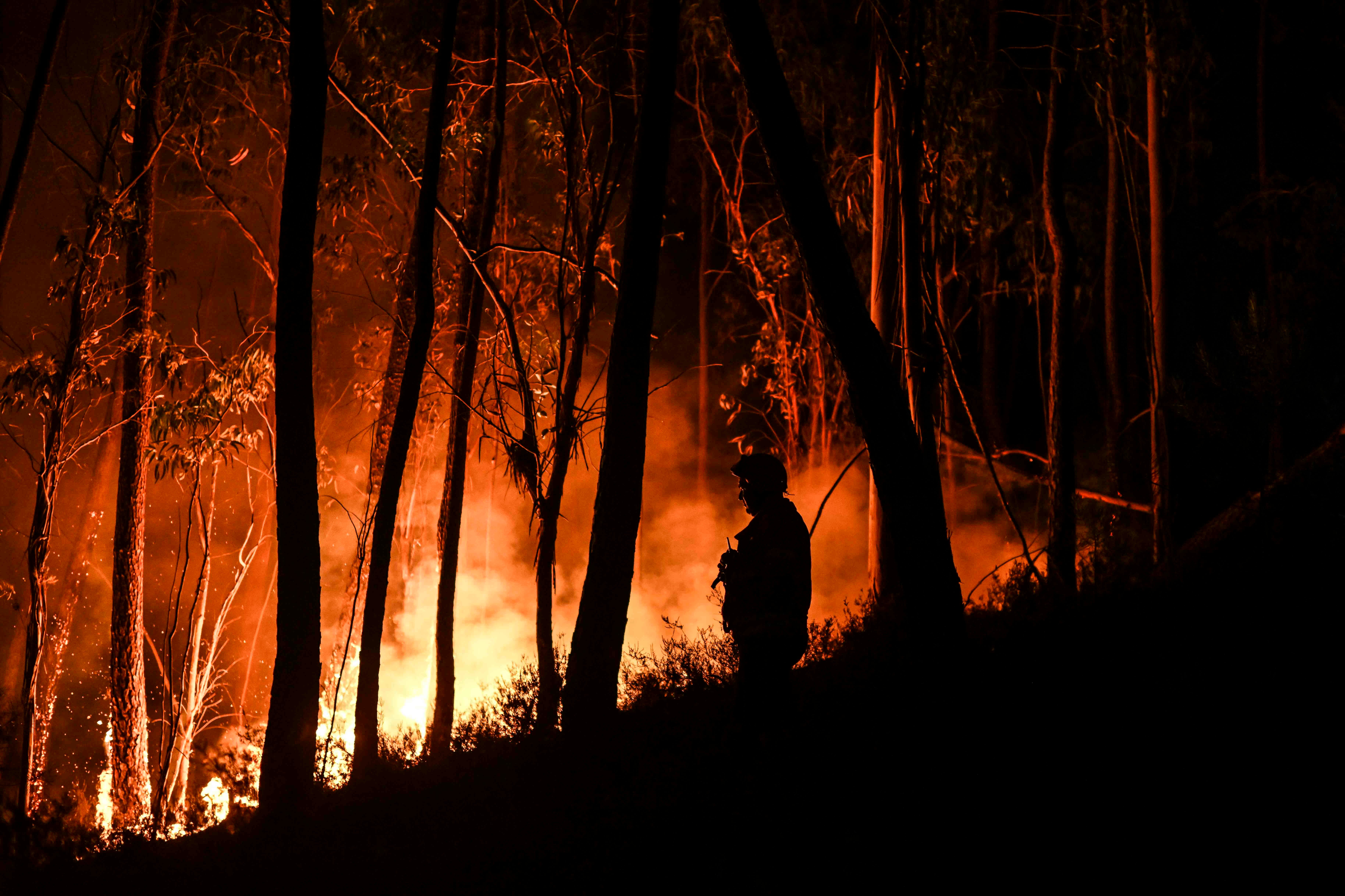 <p> A firefighter tackles  a wildfire at Casais do Vento in Alvaiazere</p>