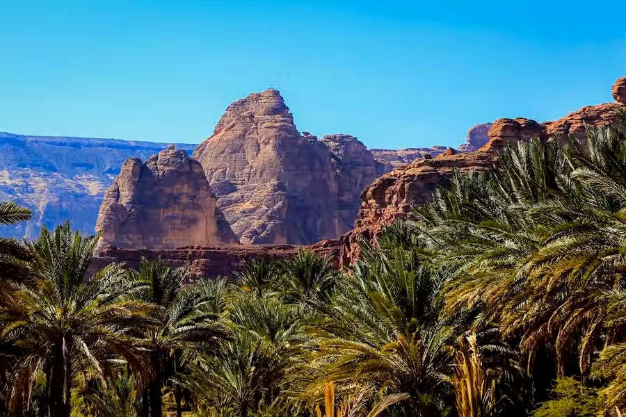 In the most fertile areas of AlUla, one species of tree is already well-established: the date palm. In the valley below the volcanic plateau of Harrat grow 2.3 million palm trees. They have been the basis of the local economy for generations.But now that economy is changing shape. As part of the Journey Through Time masterplan for AlUla, two million tourists are slated to visit the area annually by 2035.As Anita Mendiratta, a tourism and development consultant who is on the advisory board to the RCU, says. “It’s not about the number of people who come, but the impact they have.They have dug deeply into the meaning of sustainability. It has to be cultural, social, economic, environmental and spiritual.”