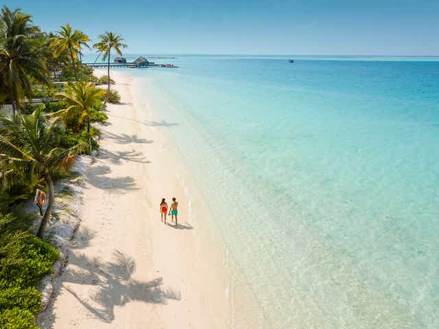 <p>Take a break from the rest of the world in the Maldives </p>