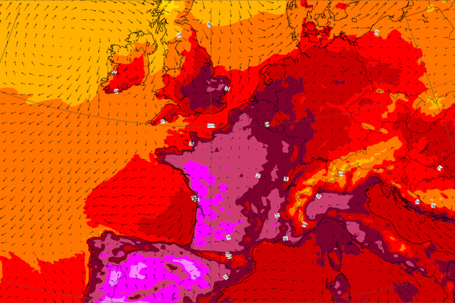 <p>The map shows the predicted air temperatures across Europe on Sunday 17 July.  The light pink within the bright pink is between 40 and 44 degrees Celsius.  </p>
