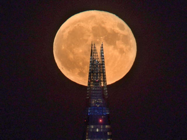 <p>La luna llena del 13 de julio de 2022 se clasifica como<em> superluna</em> debido a que su órbita está más cerca de la Tierra</p>