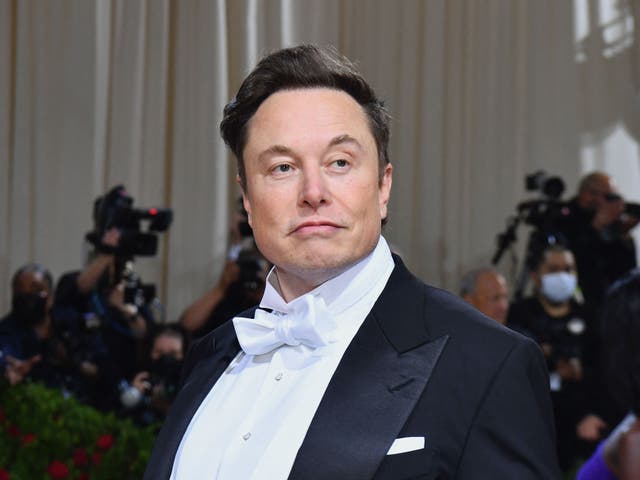 <p>Tesla CEO and SpaceX founder Elon Musk</p>