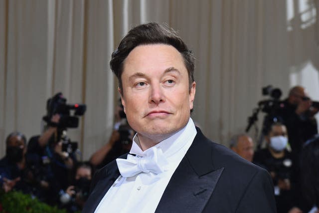 <p>Tesla CEO and SpaceX founder Elon Musk</p>