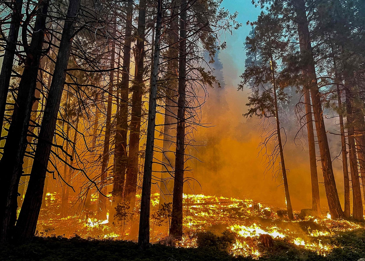 Yosemite fire grows and threatens firefighting airplanes as debris flies into the air