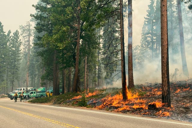 CALIFORNIA-INCENDIOS