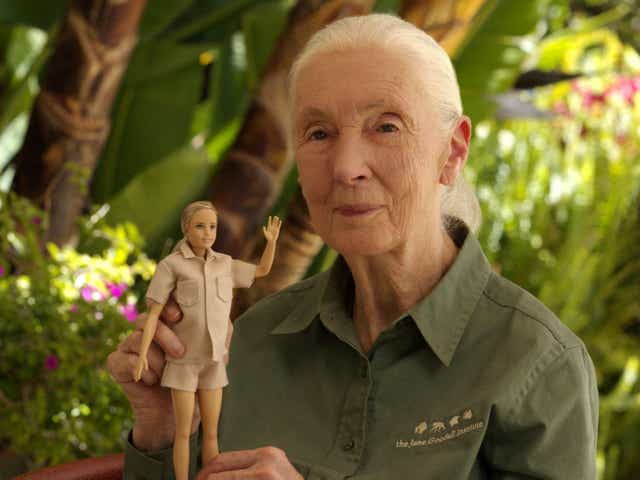 <p>Primatologist Jane Goodall posing with the new Jane Goodall Barbie doll</p>