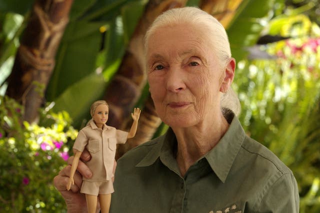 <p>Primatologist Jane Goodall posing with the new Jane Goodall Barbie doll</p>
