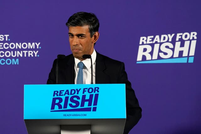<p>Sunak is one of several leadership candidates who voted to leave the EU </p>