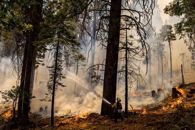 APTOPIX Western Wildfires