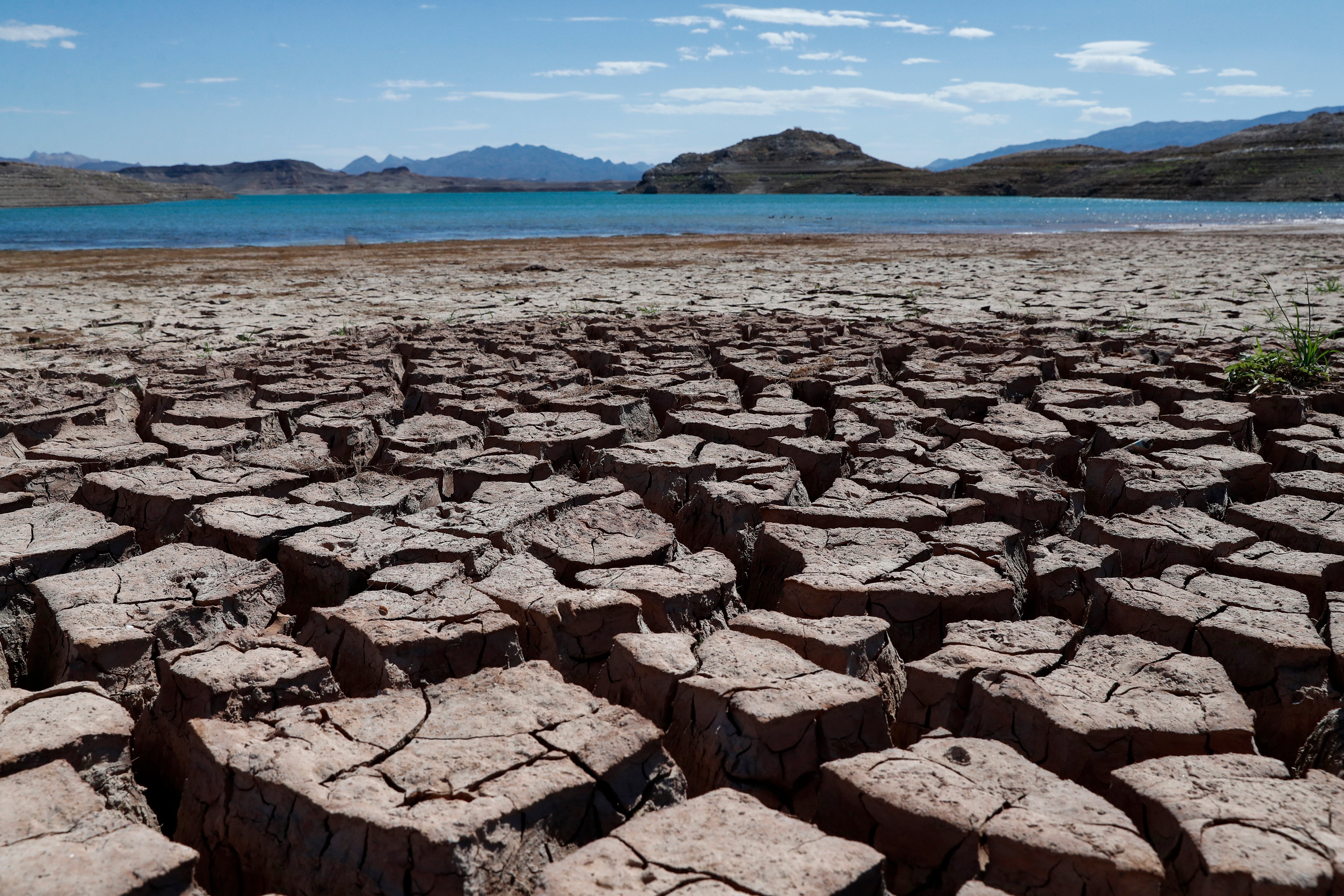 What was once the bottom of the lake now lies baking in the sun, after water levels in Lake Mead have dropped precipitously due to drought