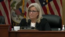 Liz Cheney says 'no rational or sane man' in Trump's position would say election was stolen