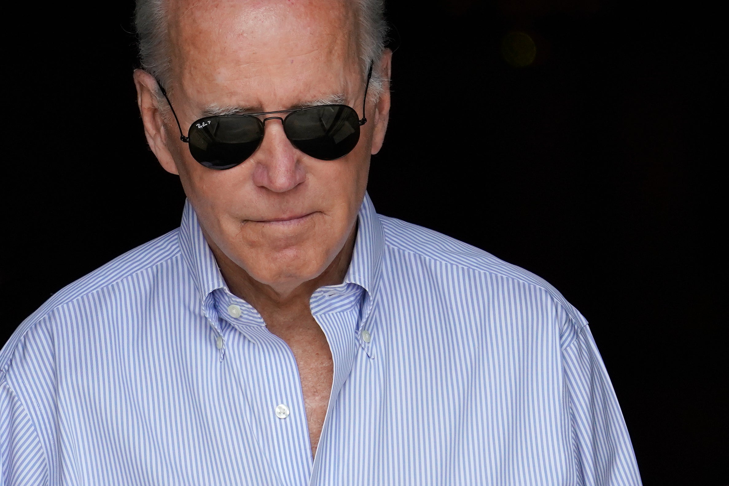 Biden Congressional Picnic