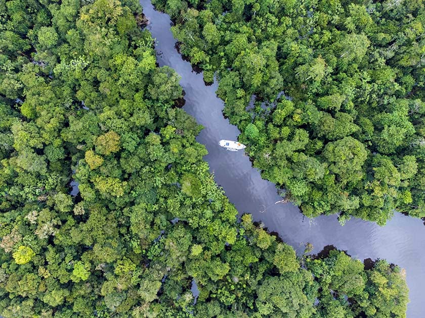 The Rio Negro tributary of the Amazon