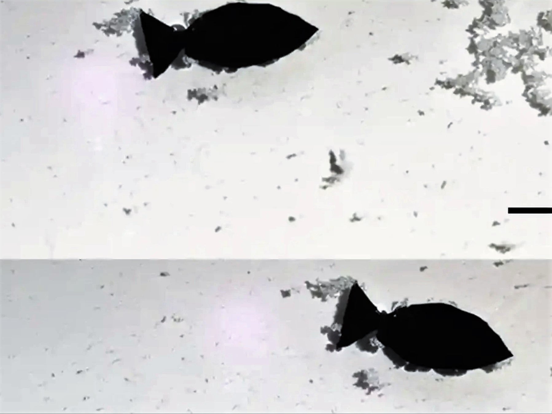 A fish-shaped robot controlled by near-infrared light to absorb microplastics