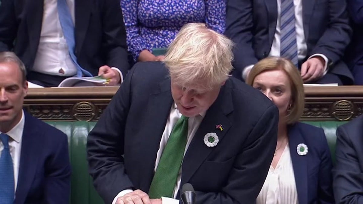 Boris Johnson brushes off non-dom tax question: ‘Doms or non-doms, I don’t mind’
