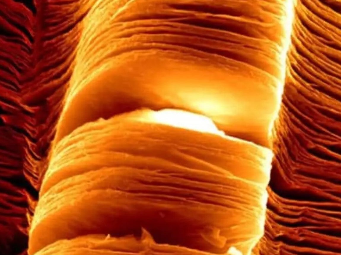 Electron micrograph of nanosheets of the ‘wonder material’ MXene