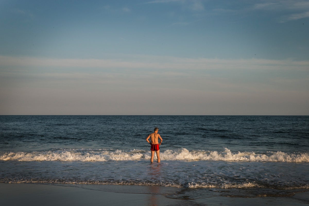 Swimmers ordered out of water after shark bites surfer at Long Island beach