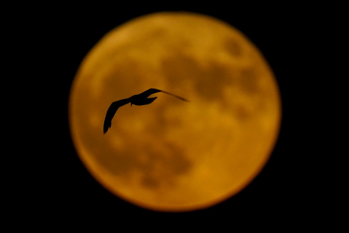 When this week’s Buck moon will be at its brightest