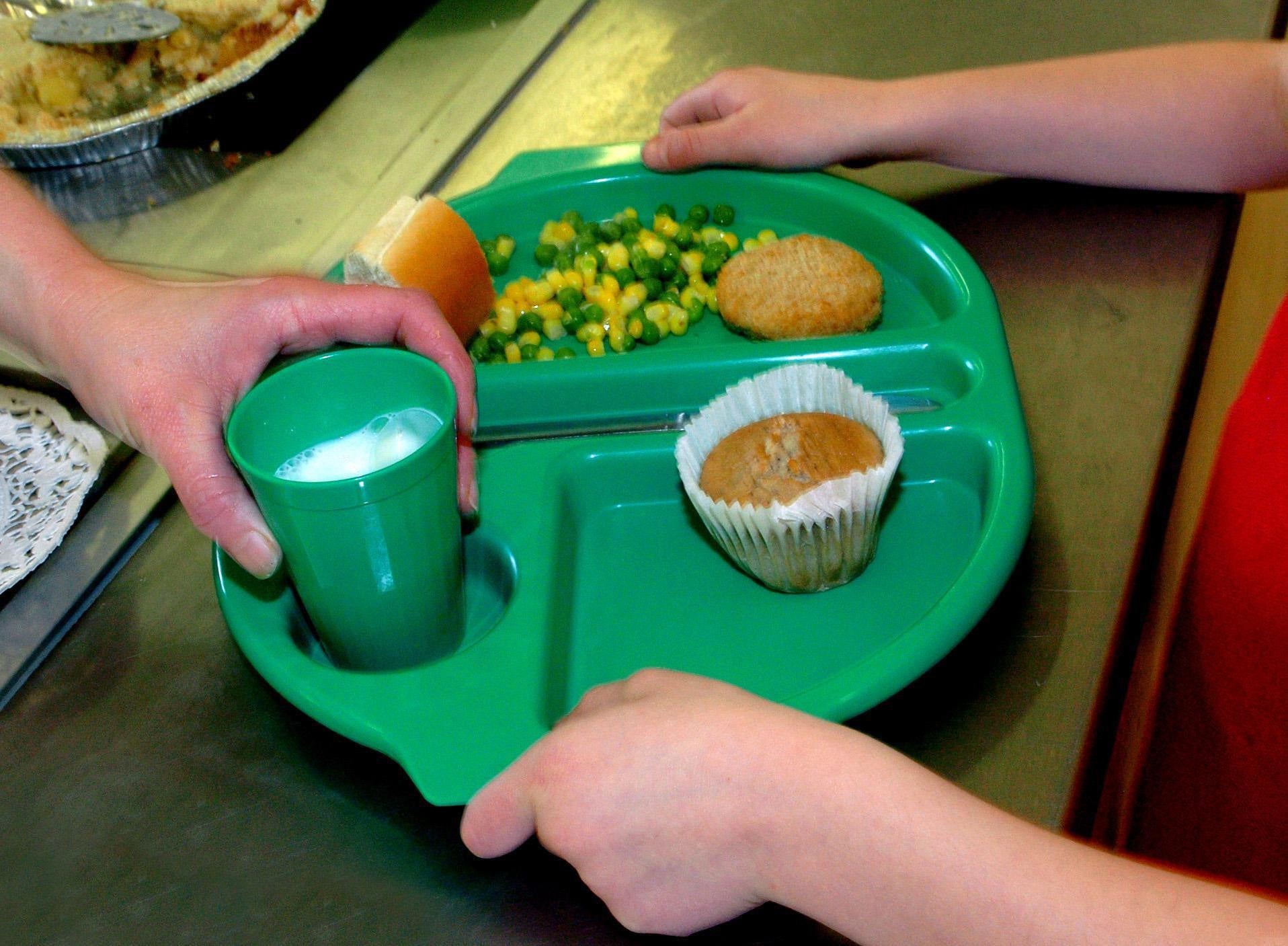 ‘Investing in the free school meals scheme would have long-term positive economic benefits’