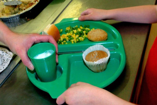 <p>‘Investing in the free school meals scheme would have long-term positive economic benefits’ </p>