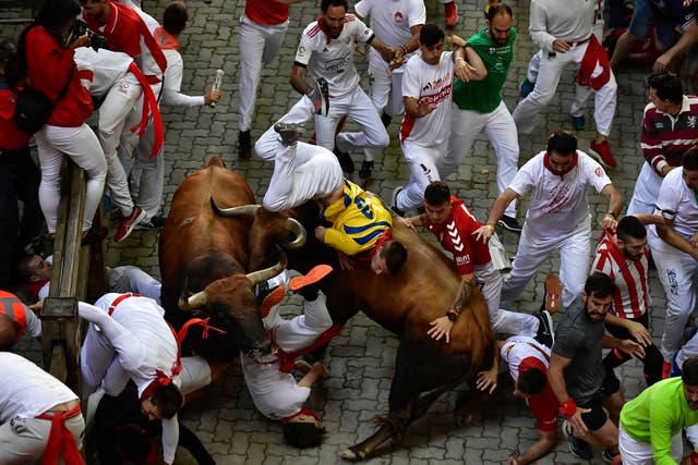 Spain Running of the Bulls Photo Gallery