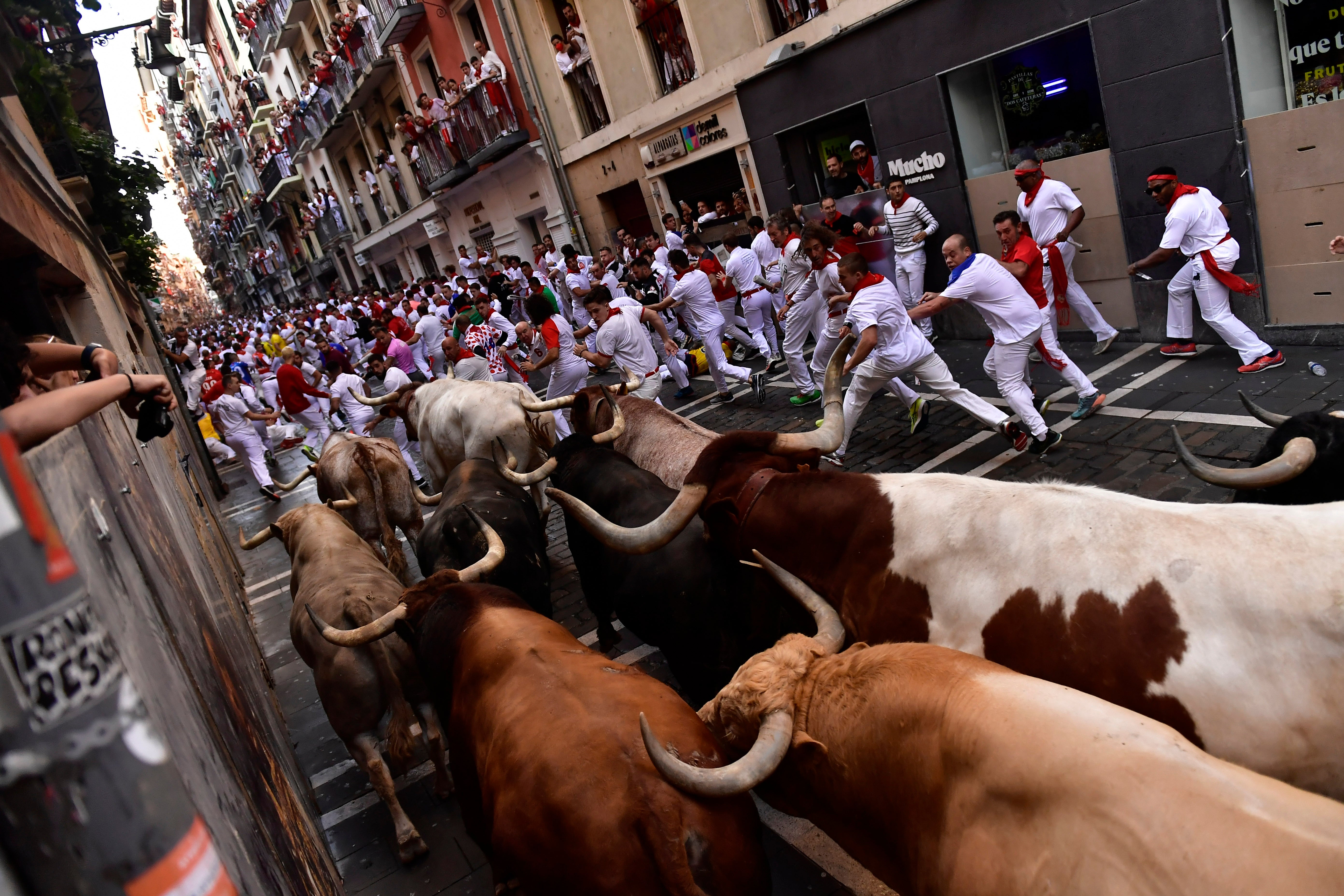 Spain Running of the Bulls Photo Gallery