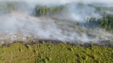 Bordeaux forest fire leaves land charred after burning more than 1000 hectares