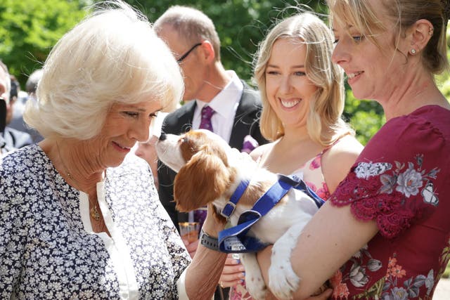 The Duchess of Cornwall meets Mala Breeze and her dog Flora as she hosts a reception at Clarence House, London, to mark the Battersea Dogs and Cats Home’s 160th anniversary. Picture date: Thursday July 14, 2022.