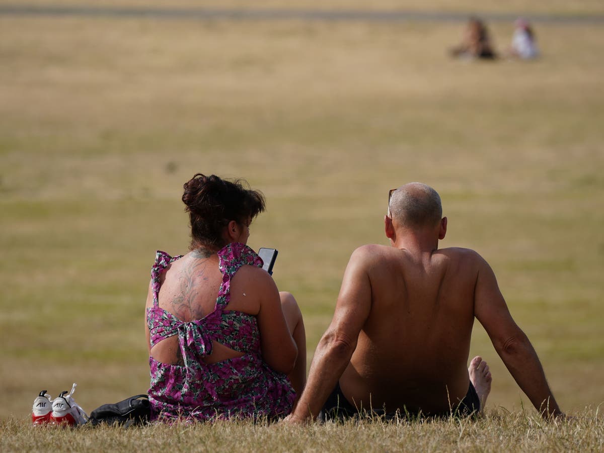 Heatwave rail disruption warning as ministers say NHS is braced for &lsquo;surge&rsquo;