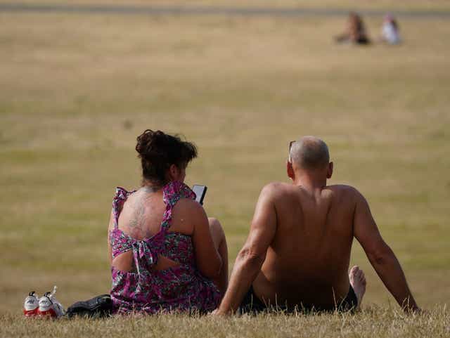 <p>Some are enjoying the hot weather, such as here in Greenwich Park, London, but for others it is causing misery</p>