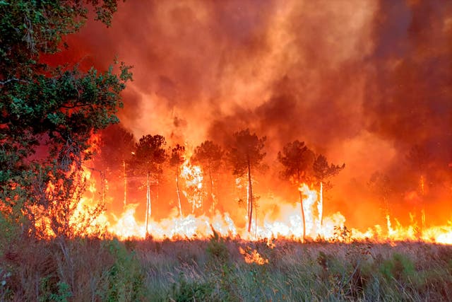 Europe France Wildfires