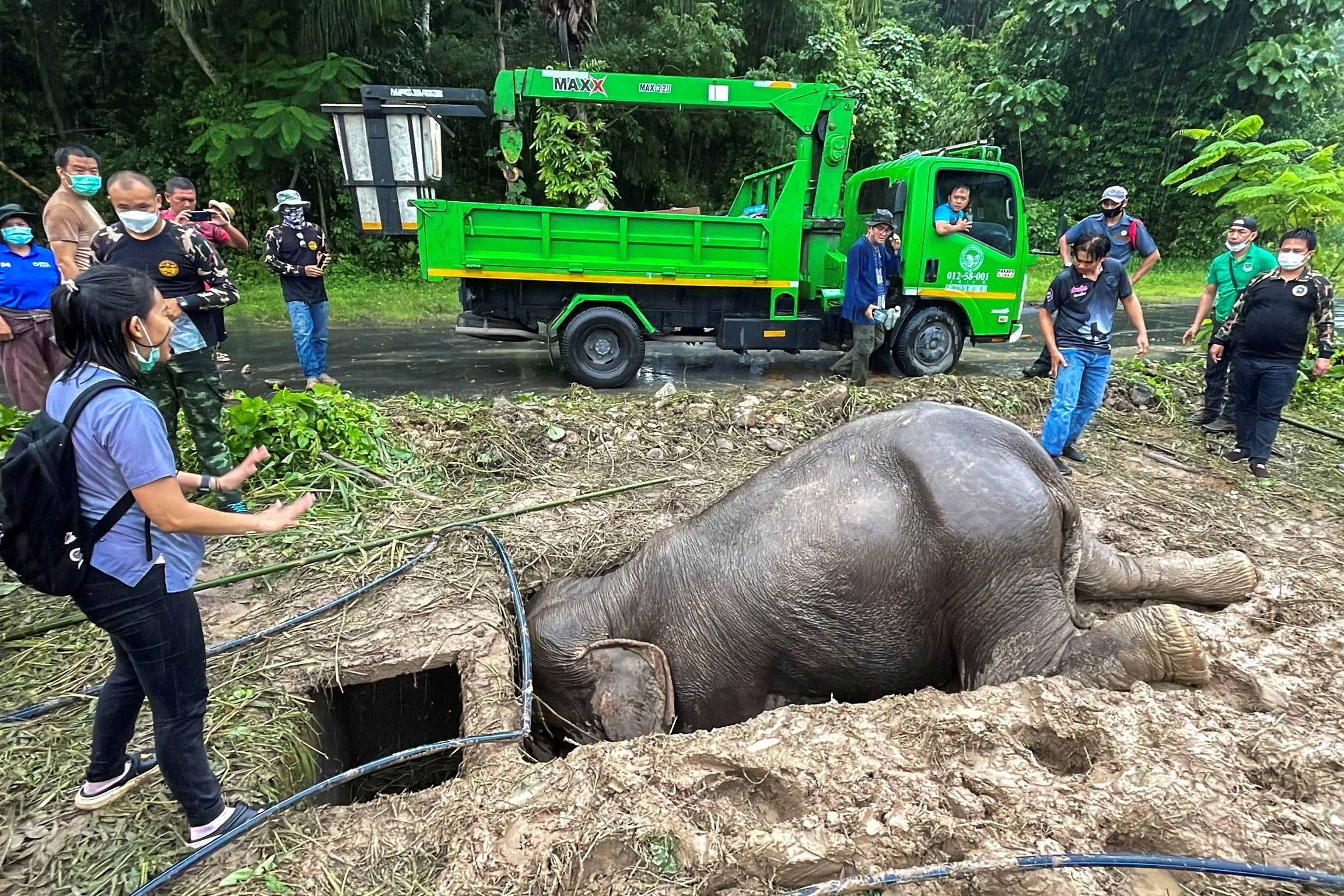 Vets and other experts rescue an elephant after it fell into a drainage hole in Khao Yai National Park, Nakhon Nayok province, Thailand