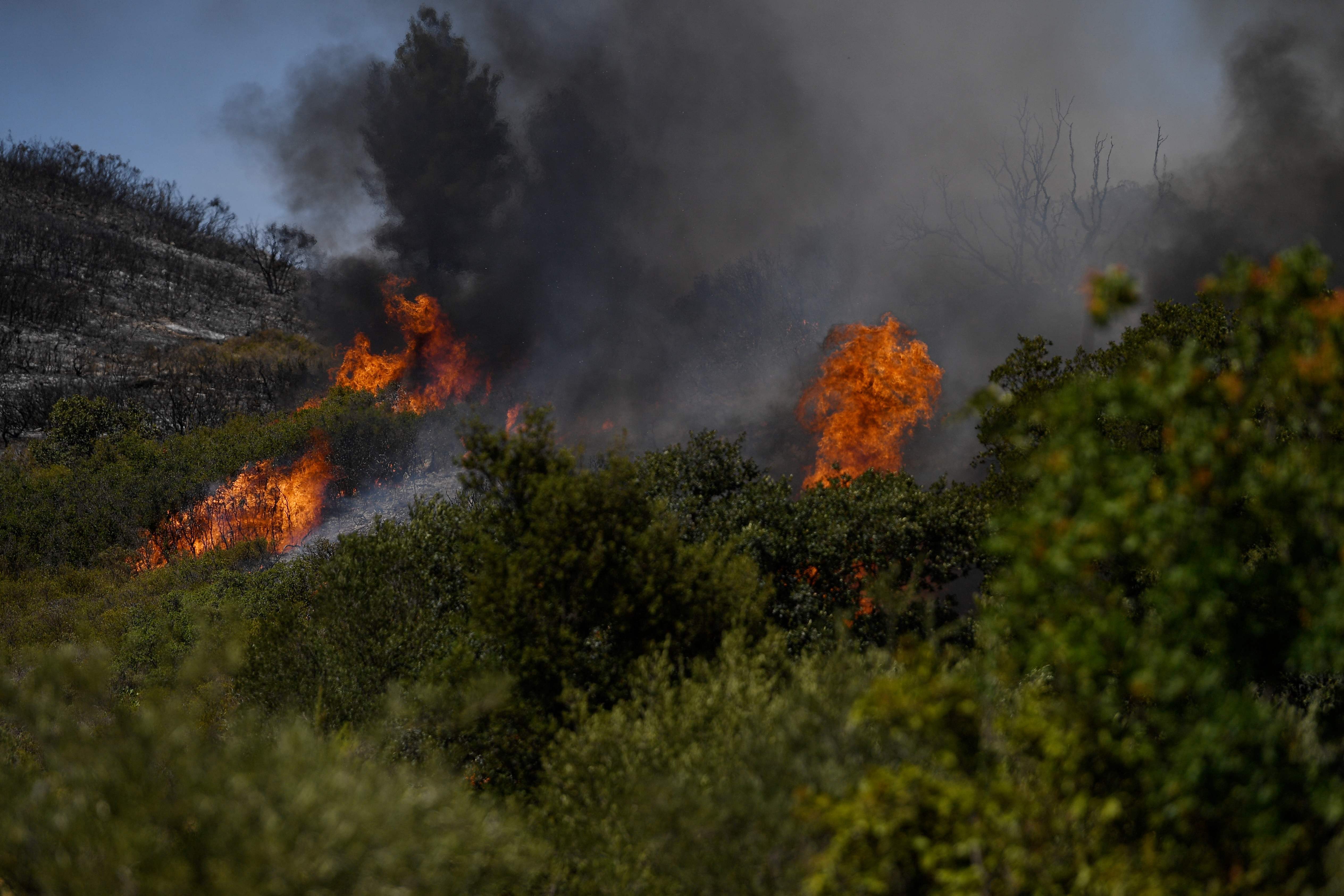Thousands of firefighters are battling deadly fires that have swept across Europe this week
