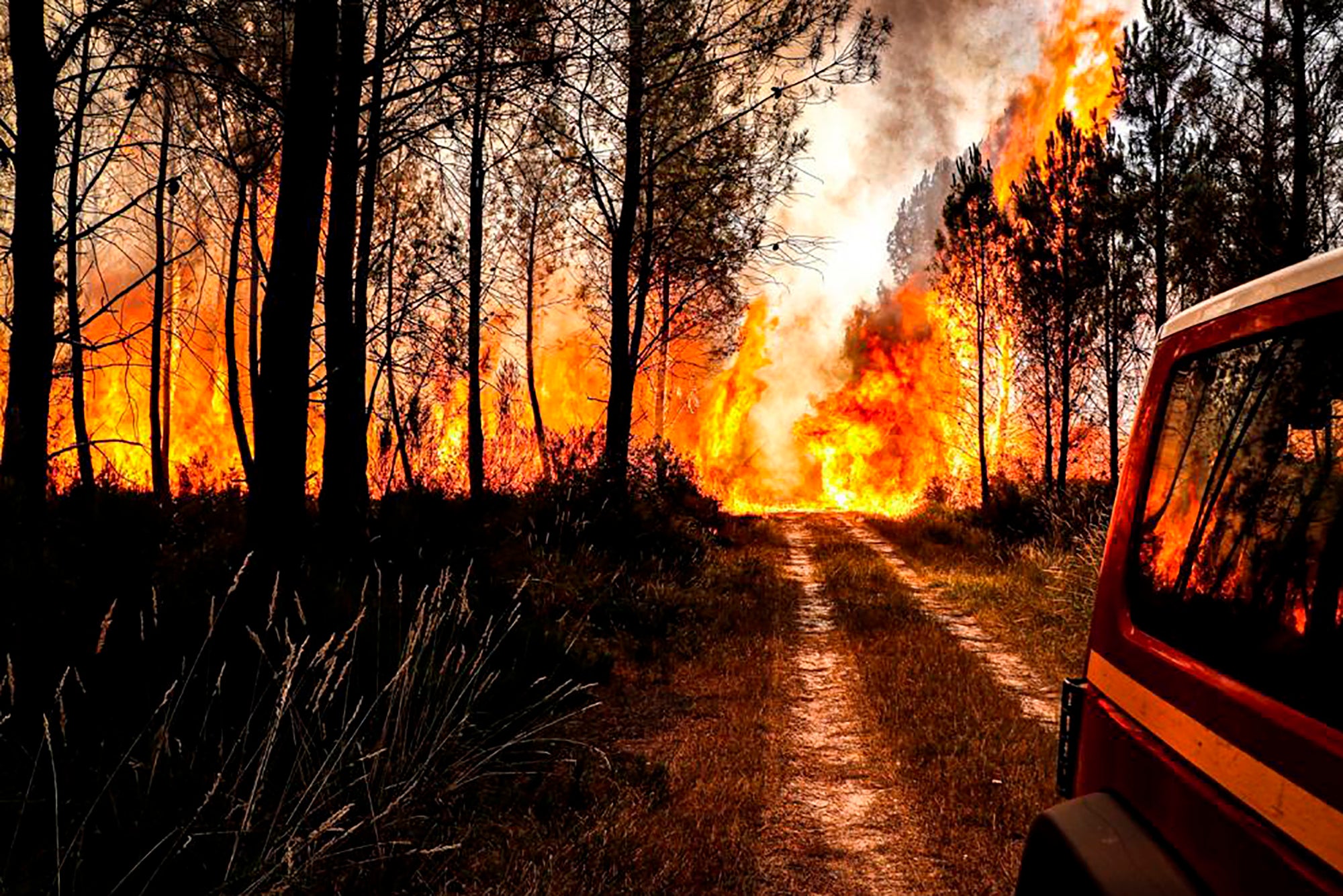 The fire brigade of the Gironde region (SDIS 33) battle a wildfire near Landiras, southwestern France