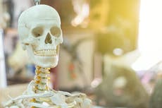 Home Depot’s 12-foot skeleton is officially back