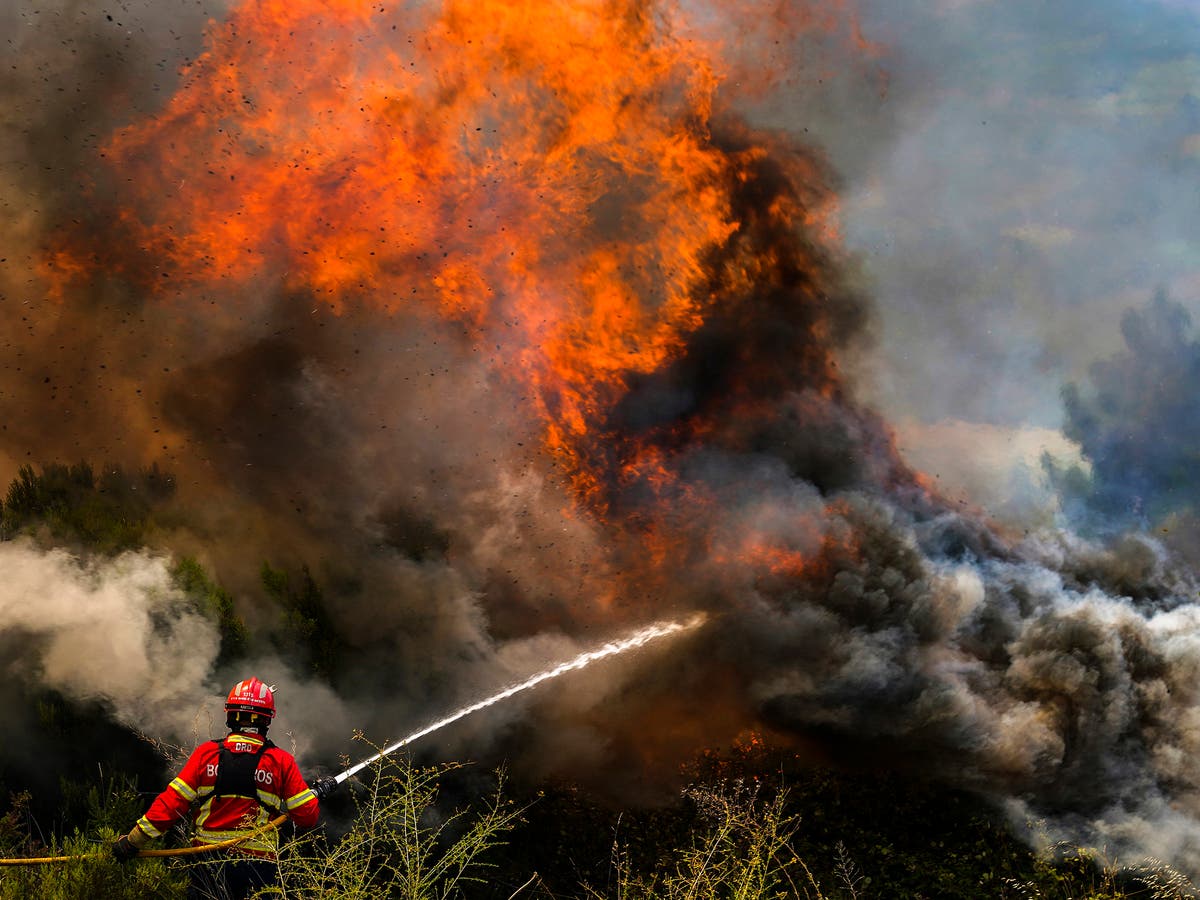Europa está sofocante mientras los incendios forestales arrasan Portugal, Francia y España