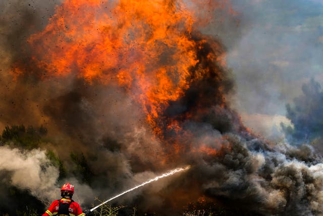 <p>Los incendios forestales en Portugal ya han causado la muerte de una persona</p>