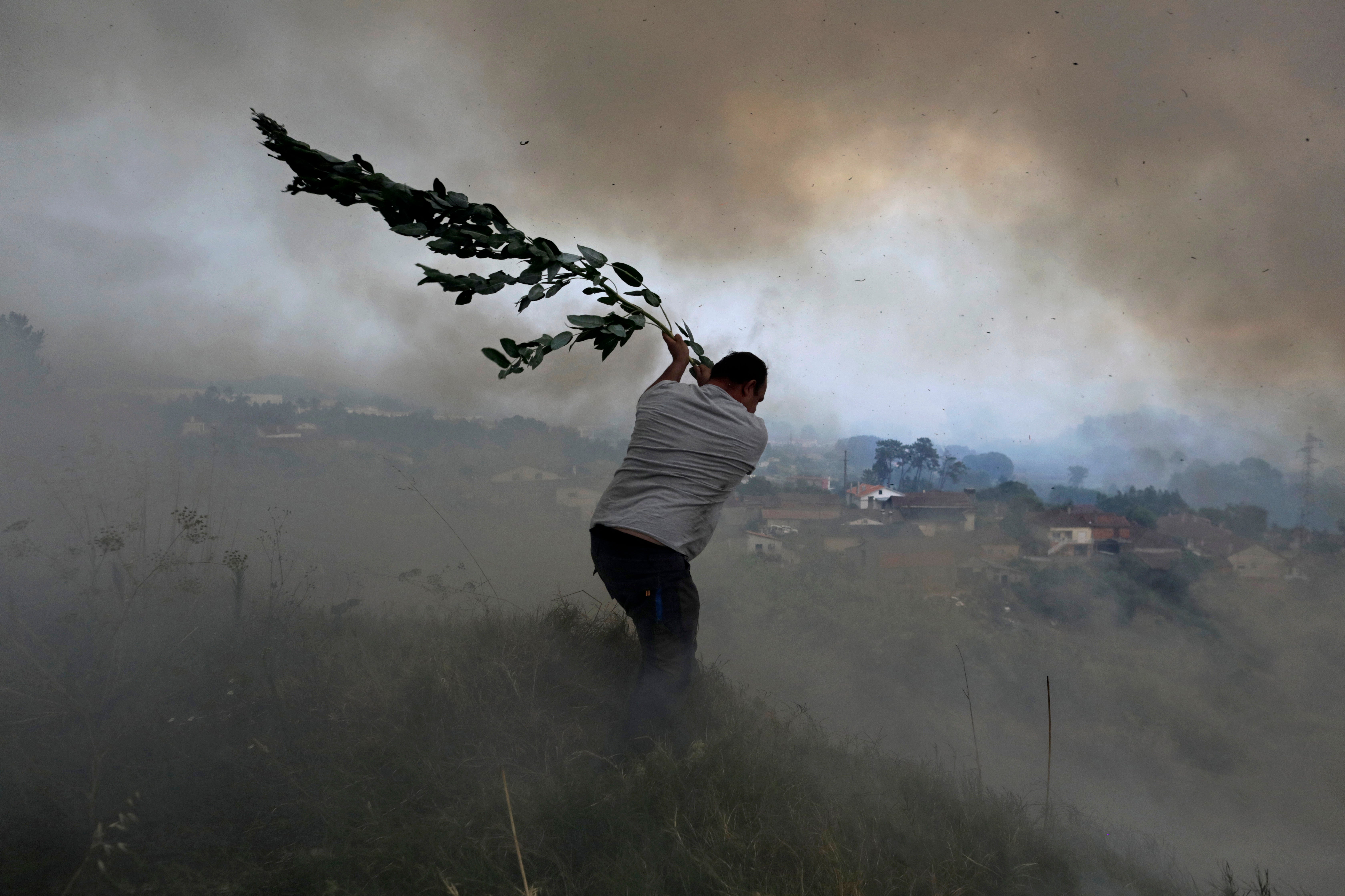 A man uses a tree branch to prevent a forest fire from reaching homes near Leiria