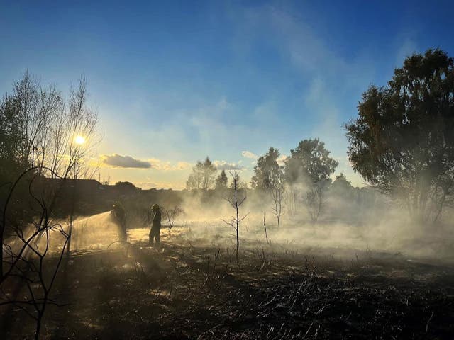 <p>Los bomberos hicieron frente a un incendio en la Reserva Natural de Oak Tree el viernes   </p>