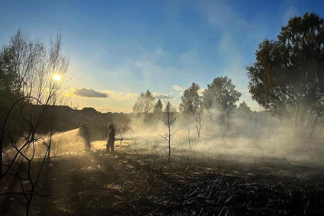 <p>Los bomberos hicieron frente a un incendio en la Reserva Natural de Oak Tree el viernes   </p>