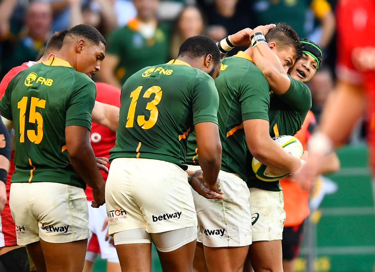 South Africa v Wales LIVE rugby Result and reaction as Springboks win