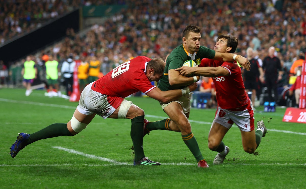 Wales slip to defeat in series decider as South Africa save their best for last