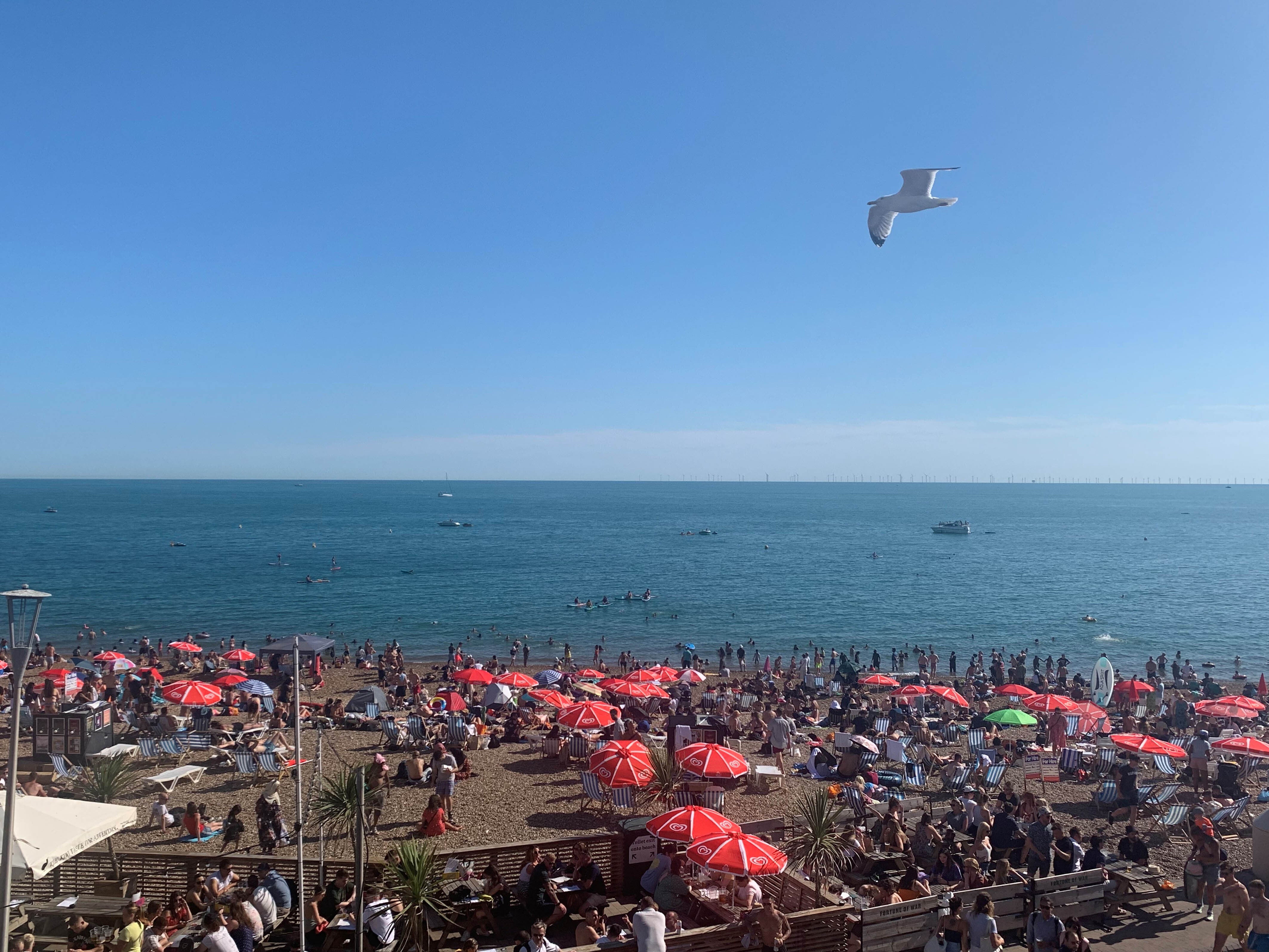 Crowds enjoy the hot weather at Brighton beach in Sussex (Peter Clifton/PA)