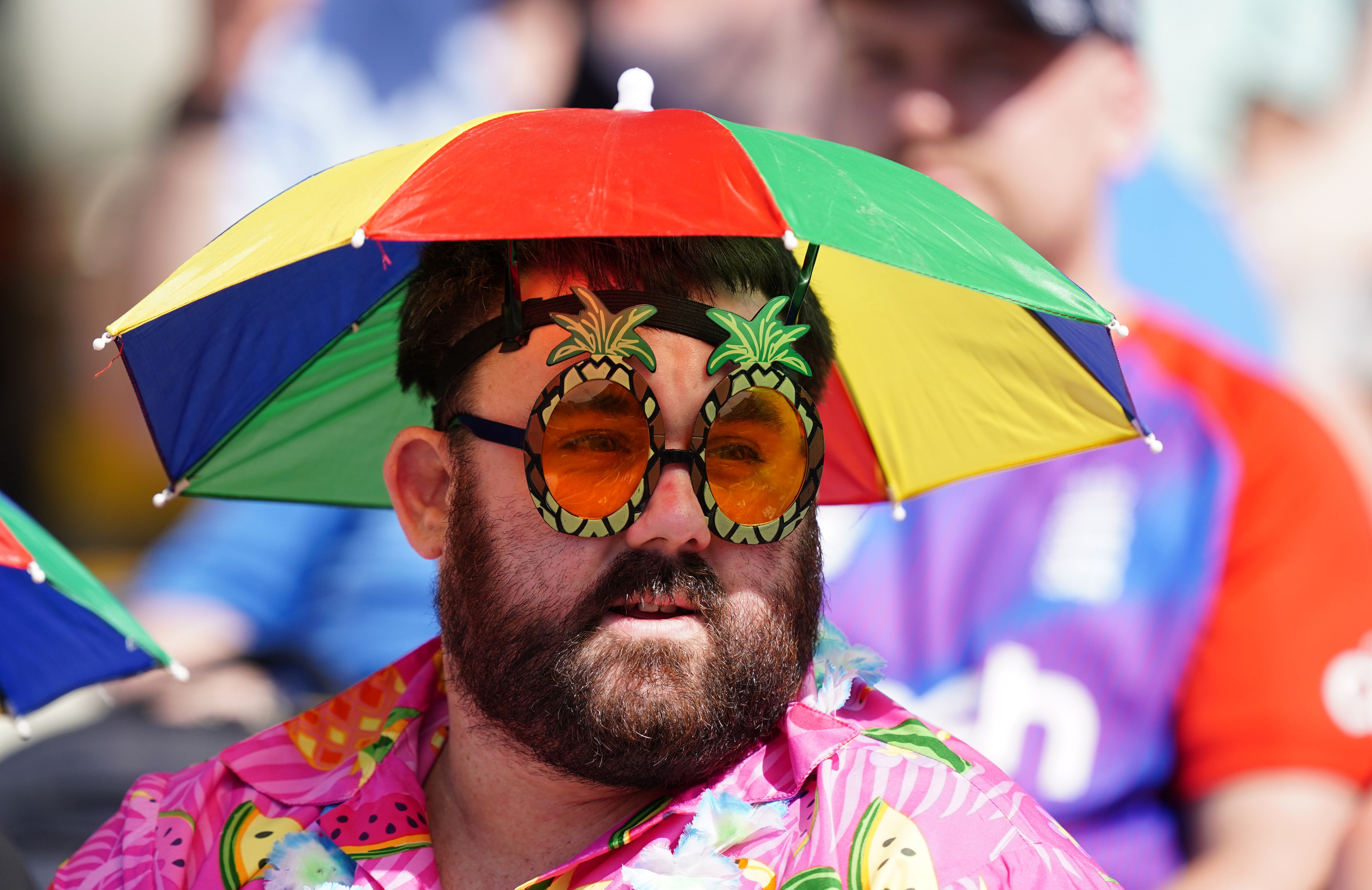 A fan keeps cool with a colourful hat during the Vitality Blast T20 cricket semi-final match at Edgbaston Stadium (Mike Egerton/PA)