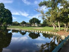 Elderly woman falls into Florida pond and is killed by two alligators before she could escape