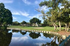 Elderly woman falls into Florida pond and is killed by two alligators before she could escape