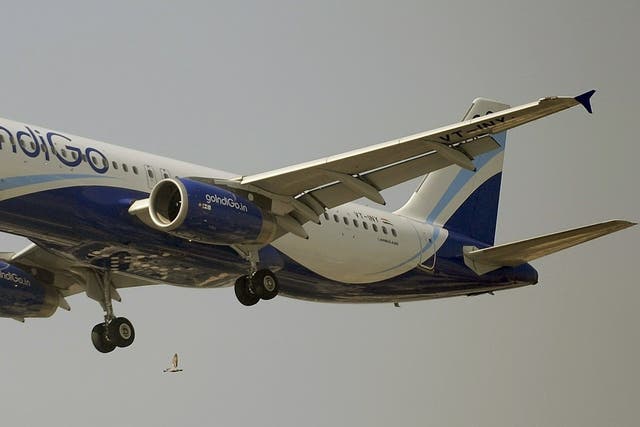 <p>File: An IndiGo Airways aircraft prepares to land</p>