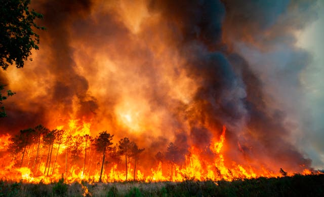 <p>Some of the most dramatic fires have been in France’s Gironde department </p>