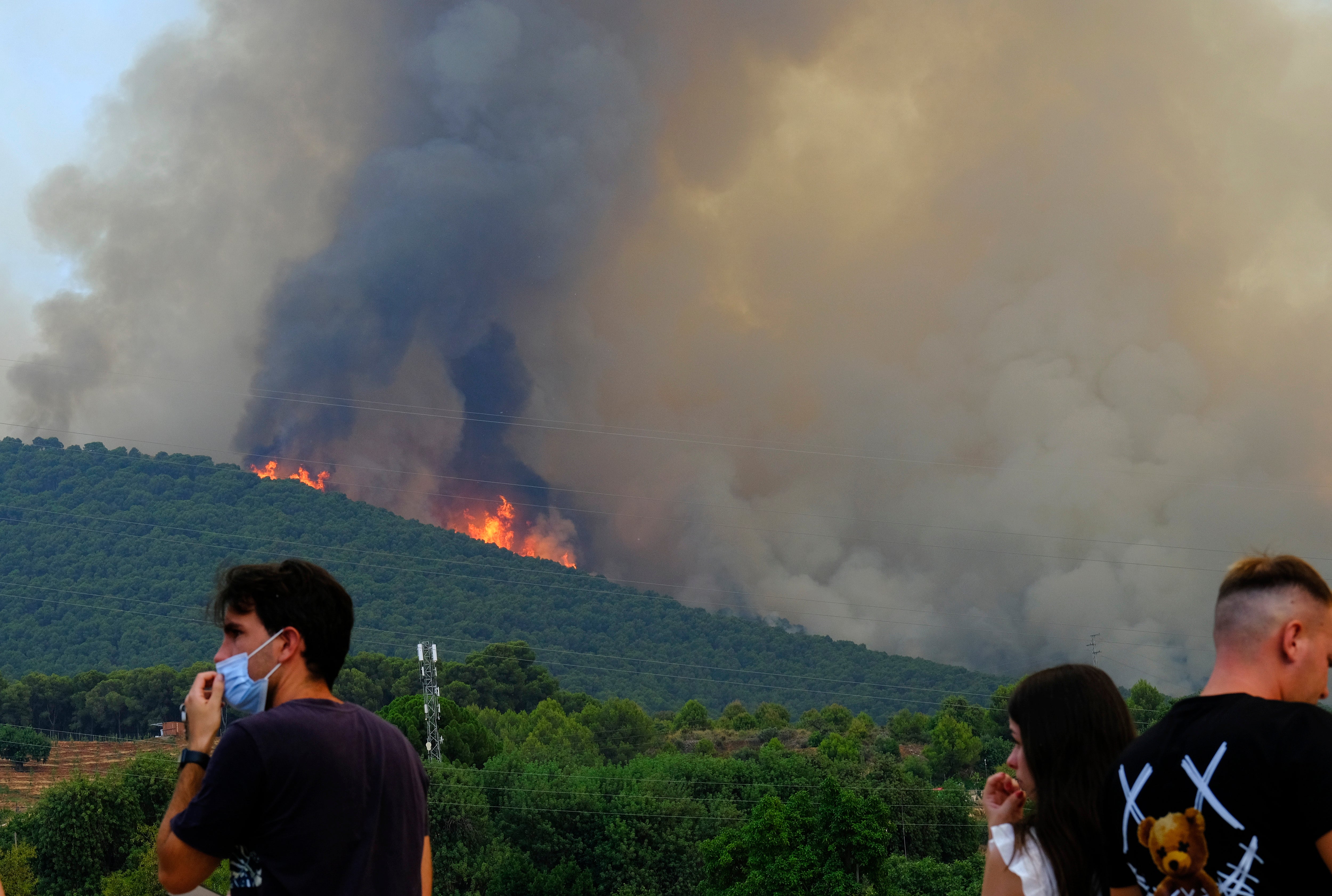 A wildfire advances near a residential area in Alhaurin de la Torre, Malaga