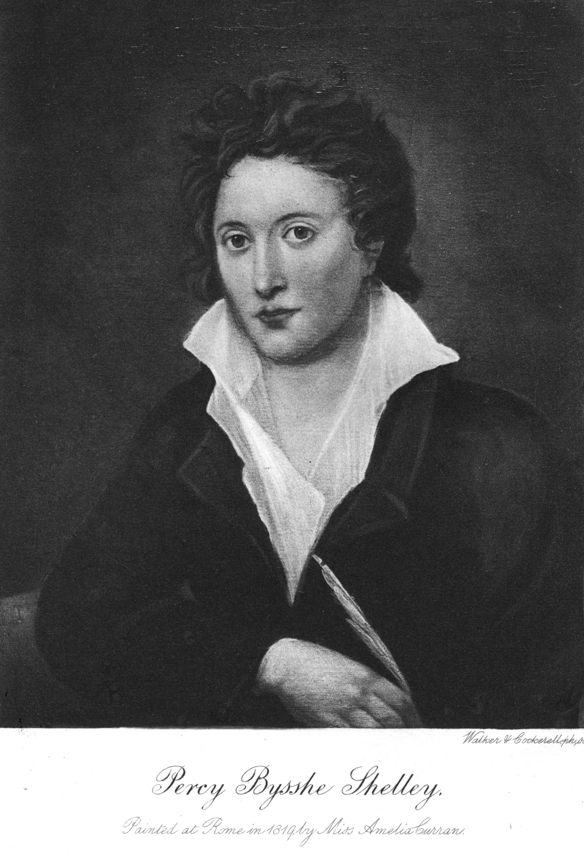 Shelley’s championed non-violent action through his words